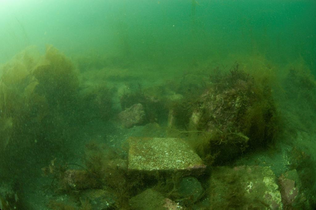 Figur 14 Ansamling av teglstein og keramiske fliser på sjøbunnen i nærheten av skipsvraket. Dette kan være en del av lasten da skipet gikk ned. Foto: Pål Nymoen, NMM.