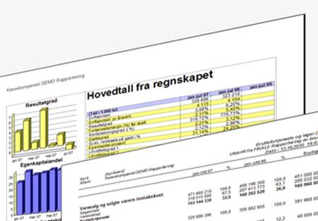 Rapporter for en rekke ulike formål Finansielle rapporter til styret og toppledelsen med overordnede regnskapsrapporter og sentrale nøkkeltall. Aksjelovene bestemmer at daglig leder minst hver 4.