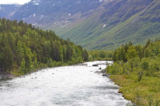 TRIMPOSTKASSETUR KIELVA GIHCCEJOHKA KITSIJOKI Turens lengde Abaja Kielva: 2,4 km Startpunkt Løypa starter fra avkjørsel fra E6/E8 ca. 100 m nord for Circle K ved Apaja.