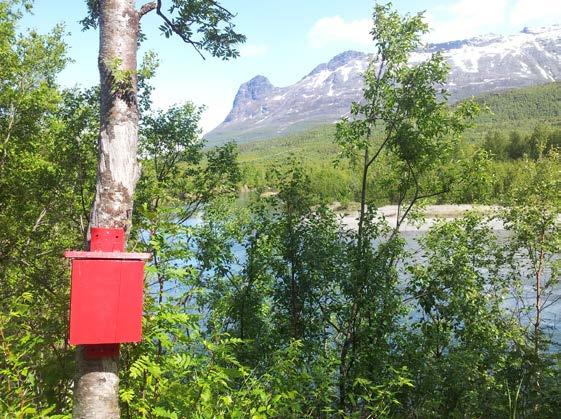 TRIMPOSTKASSETUR LAPENGÁRDI Turens lengde Fra boligfeltet i Oterbakken Lapengárdi: 3,1 km.