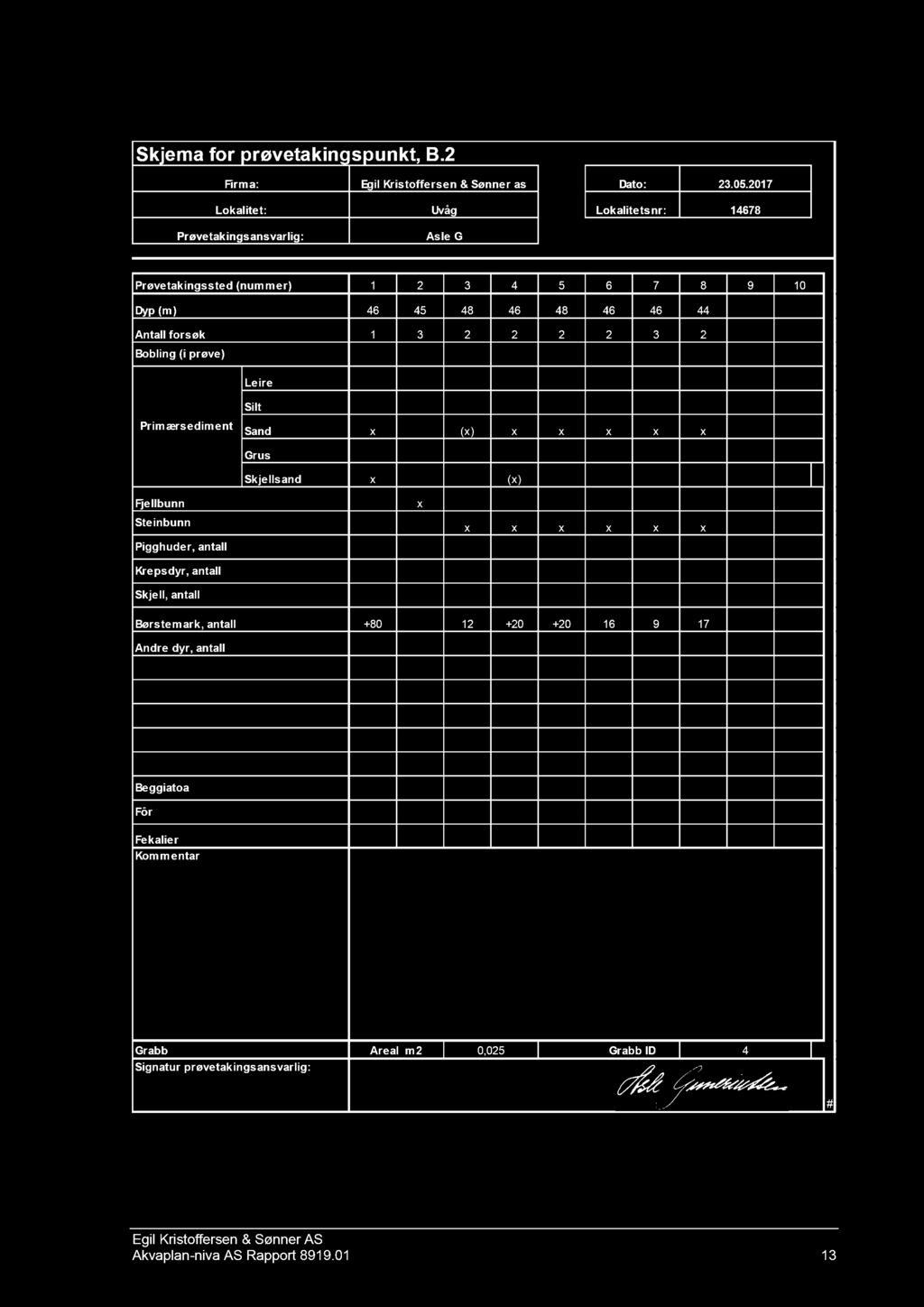 Rapport 8