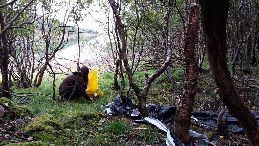 Hjelløya syd: Her ble det funnet en god del søppel inne i småbuktene mot