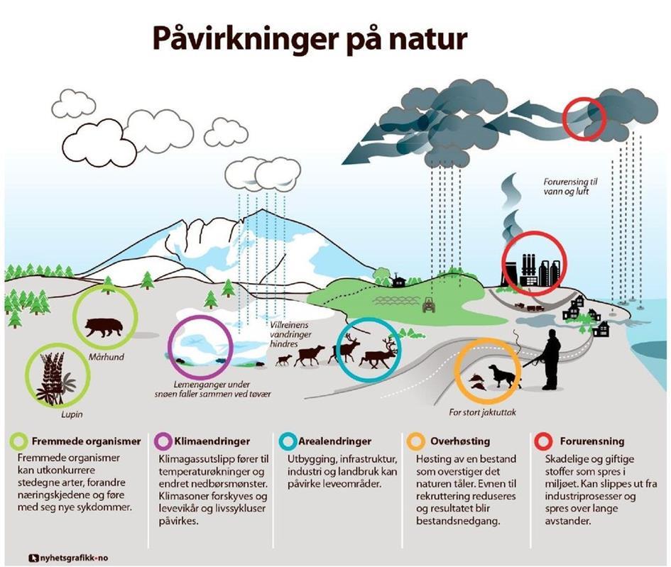 Kommunene har et stort ansvar Arealinngrep og arealbruk er den viktigste negative påvirkningen for natur i Norge.