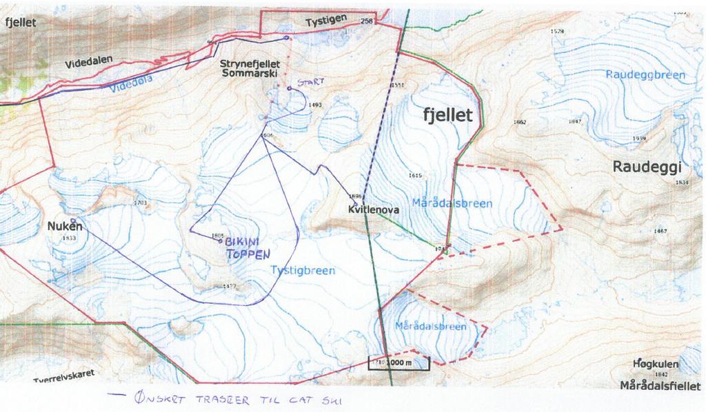 Frå Jostedalsbreen nasjonalpark møtte forvaltar Maria Knagenhjelm. Temaet om alternative energikjelder råker ikkje Jostedalsbreen sitt mynde, og vil ikkje bli følgt opp frå vår side.