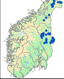 Nedgangen i forekomst av bjørn i Sør-Norge fra 2010 (tv) til 2017 (th) Uttak Det ble felt en bjørn på en skadefellingstillatelse i