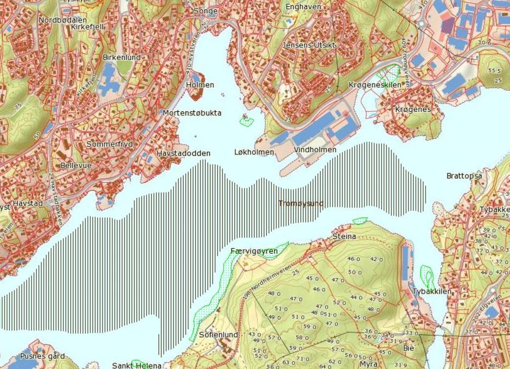 10 HAVSTADODDEN OG HAUODDEN - SEDIMENTUNDERSØKELSER Figur 3: Grønne områder er registrerte ålegrassamfunn. Skravert svart område er gytefelt for torsk Pusnes Tybakken, Tromøysund.