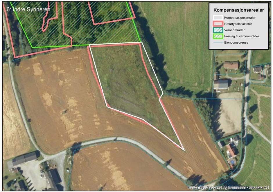 44 av 92 Kompensasjonsareal 6 Indre Synneren (B-lokalitet) (11 daa) Kort naturfaglig beskrivelse (for detaljer, se kartleggingsrapport Bane Nor 2016) Kompensasjonsarealet består av åpen flommark,