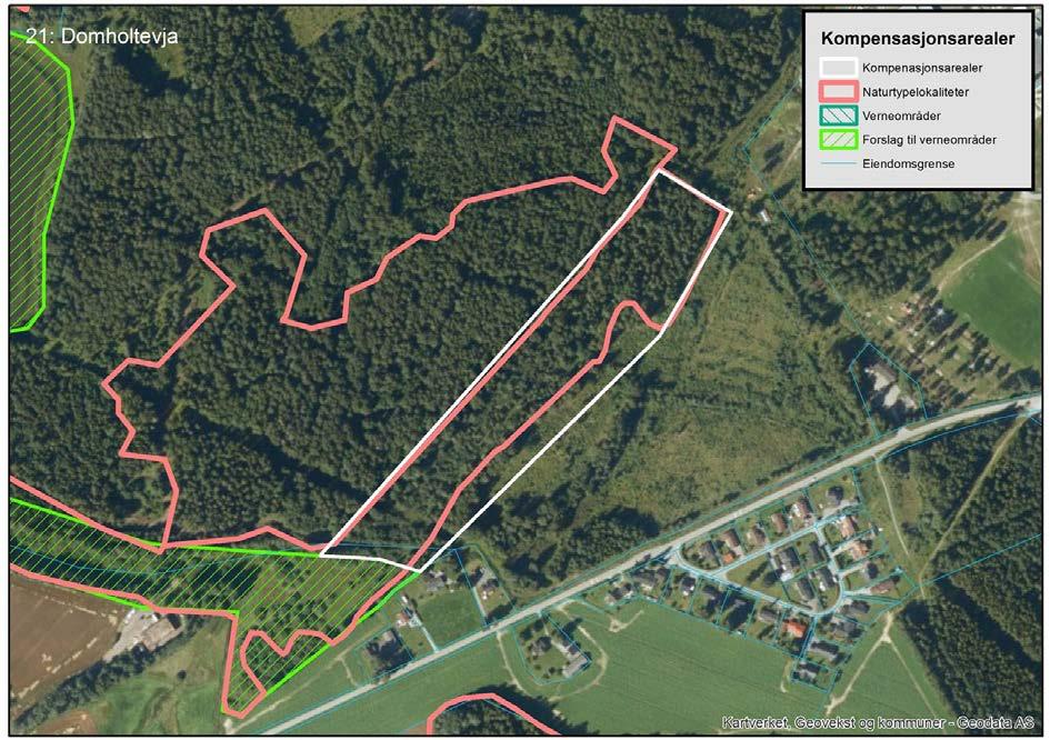 48 av 92 Kompensasjonsareal 21 Domholtevja nord (A-lokalitet som en forlengelse av Domholtevja, B- lokalitet isolert sett) (46 daa) Kort naturfaglig beskrivelse (for detaljer, se kartleggingsrapport