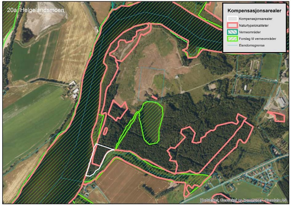 64 av 92 på 49 daa inngår i kompensasjon vil deler av arealbehovet på 117 daa for reduserte habitatkvaliteter Storelva være dekket inn.