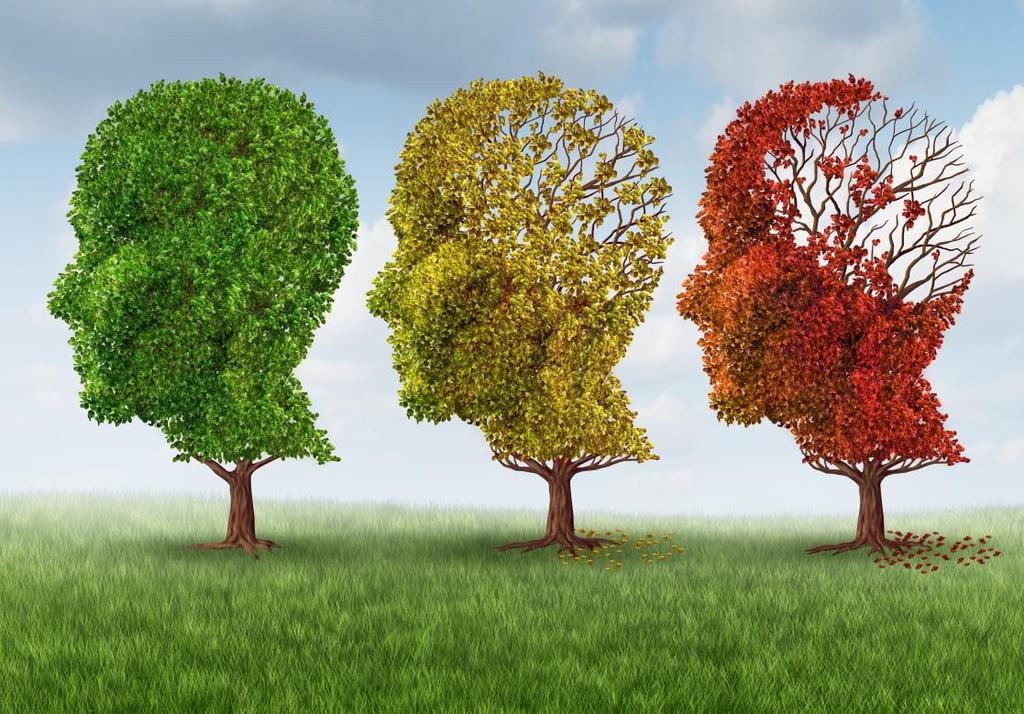 Sykdommer som gir demens Degenerative hjernesykdommer Alzheimers sykdom (ca 70%) Parkinsons sykdom Huntingtons sykdom Vasculære sykdommer: Hjerneslag Hjerneblødning Subaracniodalblødning Småkarsykdom