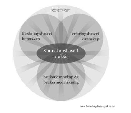 Fig 2. Kunnskapsbasert praksis http://www.