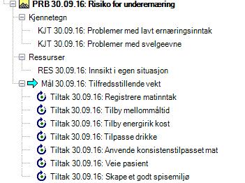 6.6 Hva er viktig for denne pasienten? Tilpass planen individuelt Gå inn på hvert enkelt utsagn og tilpass planen individuelt for den aktuelle pasienten trykk endre, og du får skrivetilgang.