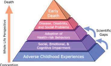 Adverce childhood experiences Forklaringsmodell årsaker ACE pyramiden (Felitti, V.
