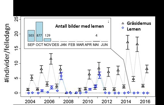 Lemen er den viktigste byttedyrarten for fjellrev på Varangerhalvøya (Ims m. fl. 2017). Årene 2007 og 2011 hadde tydelige lementopper med vekst i bestanden over vinteren (dvs.