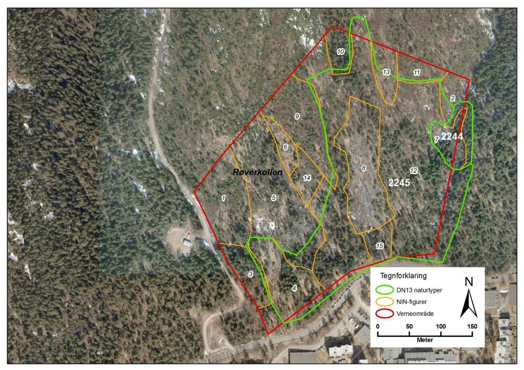 Figur 43. Avgrensning av NiN-figurer og DN13-naturtyper i Røverkollen NR, Oslo kommune.