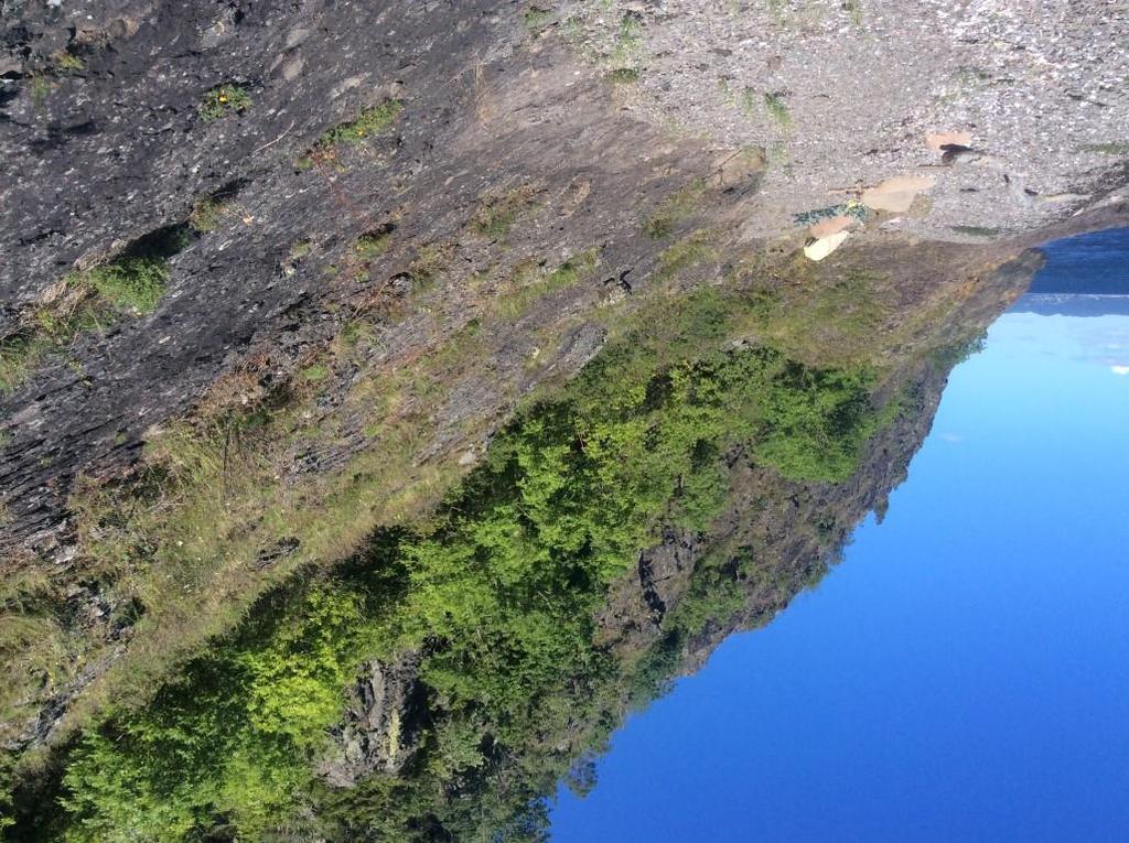 2.6.6 Verneområde: Refsnes naturreservat Lokalitet: Jeløya Verneområdet består av en høy bratt og liside (figur 23).