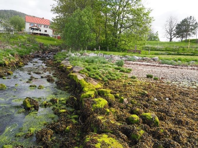 Hvordan kan vi sørge for en økt «stoppeffekt» for gjennomgangstrafikken, når ny riksvei 70 ferdigstilles våren 2019? Riksvei 70 er ferdselsåre gjennom kommunesenteret.