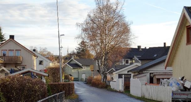 SØNDRE RØSTAD BELIGGENHET OG BESKRIVELSE Delområdet ligger mellom Sætersmyra og Okkenhaugvegen, langs Gamle Kongeveg. Området er flatt, og består av store eneboligtomter.