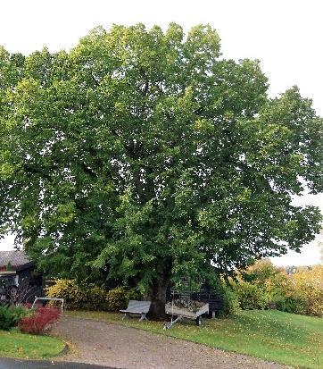 Størsteparten av det resterende området er regulert gjennom eldre reguleringsplaner fra 70- og 90-tallet.