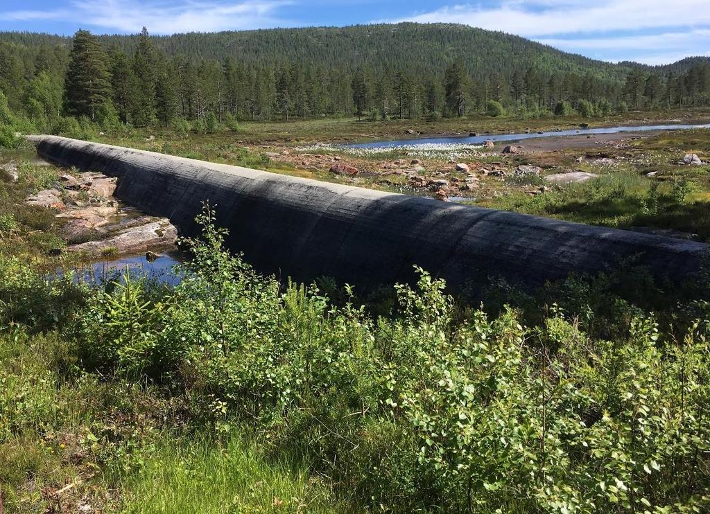 Vannføring er ca 2000 liter per sekund Figur