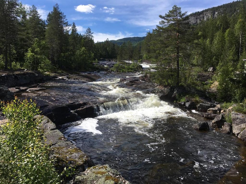 Figur 10 Fotopunkt 3 Bjørnerudfossen.