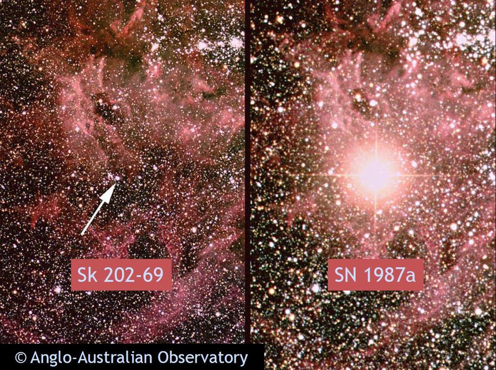 Supernovaen SN 1987A var en supernova av type II Tarantulatåken før ved