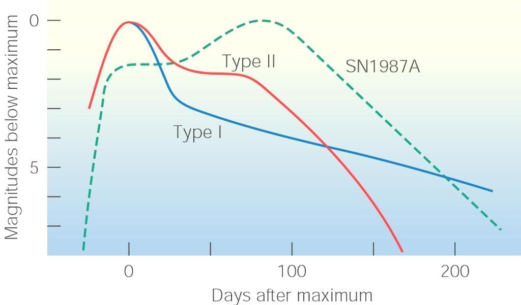 Diagrammene viser hvordan lysstyrken til supernovaer av type Ia,b og II, samt SN 1987A, varierer med tiden. Type I: Ingen hydrogenlinjer i spekteret.