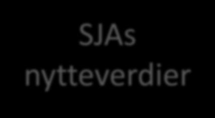 SJAs nytteverdier Organisatorisk læring