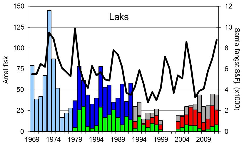 FANGST OG SKJELPRØVAR I LOENELVA I perioden 1969-2012 var gjennomsnittleg årsfangst 43 laks (snittvekt 5,8 kg) og 161 sjøaurar (snittvekt 1,3 kg). Villaksen var freda i åra 2000-2002.