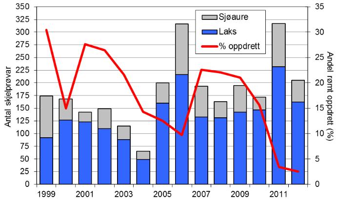 Dei siste tre åra har ca. 30 % av laksane vorte sett ut att i elva. Fangstane av sjøaure har variert, men hatt ein minkande tendens dei siste åra.