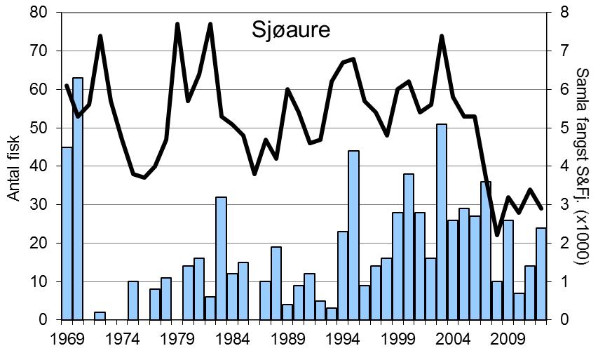 Fangsten av laks dei to siste åra har vore av dei høgaste sidan 1970-talet, og antalet mellom- og storlaks var det høgaste som er registrert (figur 1, stolpar).