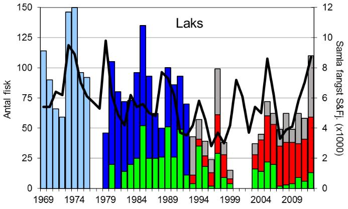 FANGST OG SKJELPRØVAR I OLDENELVA I perioden 1969-2012 var gjennomsnittleg årsfangst 74 laks (snittvekt 6,6 kg) og 155 sjøaurar med snittvekt på 1,7 kg. Villaksen var freda 2000-2002.