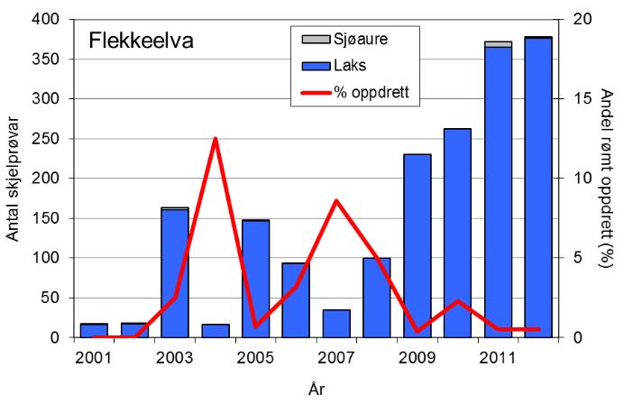 Fangsten av sjøaure har også auka sidan midt på 90-talet, med stor mellomårsvariasjon. Dei 7 siste åra har fangstane lege på ca. 50-60 per år, i 2012 vart det fanga 46 sjøaure (snittvekt 0,8 kg).