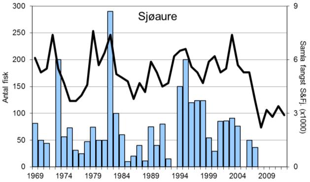 FANGST OG SKJELPRØVAR I ÅRØYELVA I perioden 1969-2012 var gjennomsnittleg årsfangst 72 laks (snittvekt 6,7 kg) og 65 sjøaurar (snittvekt 1,1 kg).