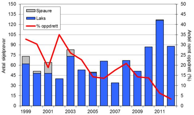 Sjølv om fangsten i 2012 (103 laks, snittvekt 6,6 kg) var halvert i høve til 2011, var det likevel ein av dei beste fangstane i perioden.
