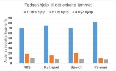 13 Fødselshjelp Saksbehandler: Inger Anne Boman Vi oppfordrer ringmedlemmene om å registrere fødselshjelp med det nye kodesettet vi har tatt i bruk.