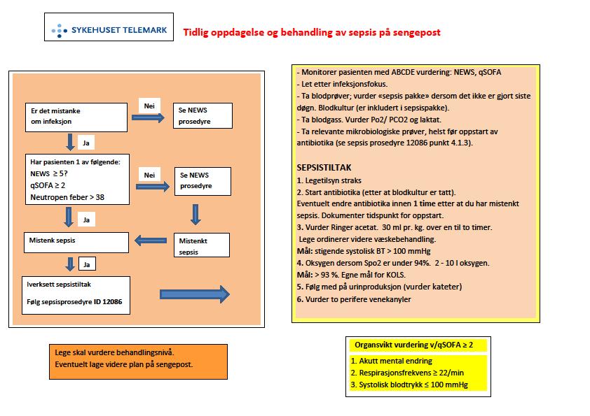 Vedlegg 3.