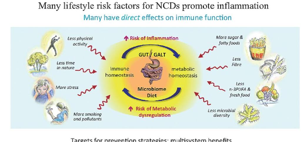 Susan L Prescott, Disease prevention in the age of convergence - the need for a wider,