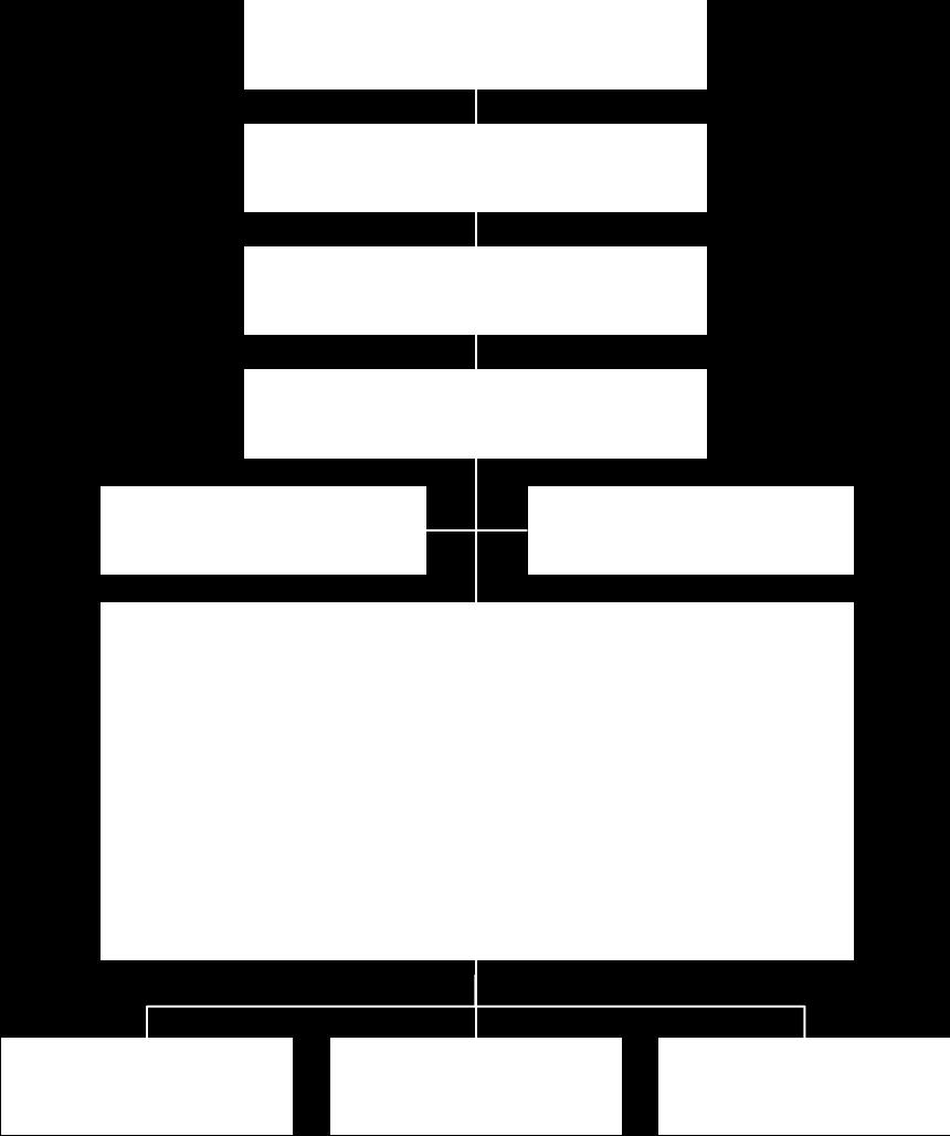 Figur 1: Prosjektorganisasjon 2.3.