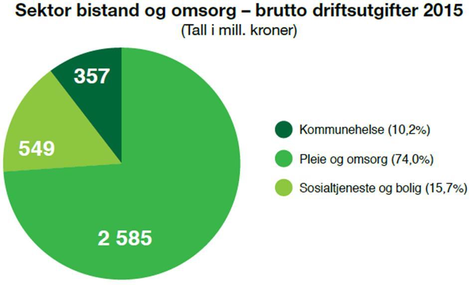 40% av vår virksomhet påvirkes av helse-strategien Bærum kommune Sektorenes andel av budsjettramme 2016 8