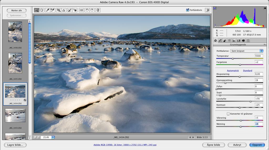 1 Camera RAW Eksempel på behandling av bilder i Adobe Camera RAW for Creative Cloud. Forhåndsvisning av RAW-bilder i Adobe Bridge.