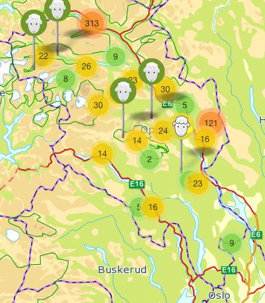 Kart over Oppland 2017 med Findmy Prosjekt med utvidet bruk av radiobjeller på lam i Sør-Aurdal kommune 2017 Bakgrunn: Store tap av lam på beite, få funn og dermed liten dokumentasjon.