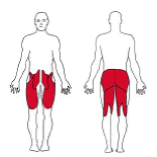 1. Goblet Squat (Reps: 10-20, Sets: 3-5) Stå med bredere beinstilling enn du ville gjort på en knebøy, og hold en tyngre vekt eller kettelbell i hendene som du holder i cirka brysthøyde.