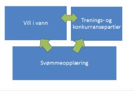 Merk at klubben ikke trenger å bruke benevnelsen «Vill i vann» på treningsgrupper for ungdom.