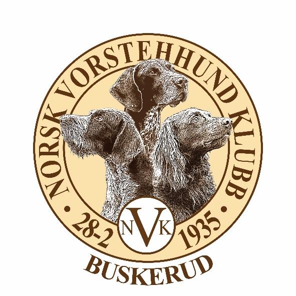 NVK Buskerud: for året er fra 1. november 2018 til 31. oktober 2019.