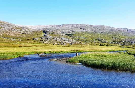 Foto: Erik Sterud Enden på anadrom sone i Risfjordelva, Finnmark. tall for en gigant som Vefsna, med sine 16 mil med anadrom strekning, men det er en start. Vi ønsker lykke til i fortsettelsen.