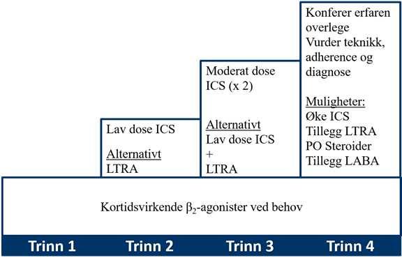 Medikamentell behandling 0 5 år Trinn 1 barn < 5 år Forsøksvis b2-agonist ved obstruktive episoder ( > 1 år) Lite effekt hos mange (yngste) Veileder i generell pediatri (kommer) Lavdose ICS Trinn 2