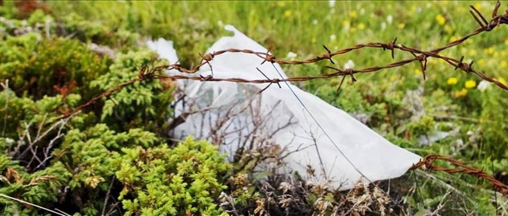 Bakgrunn 2008 Forslag om forbud mot plastposer GPN påviste at det var lite plastposer på avveie Fondsideen ble lansert som et tiltak mot avgift 2014/2015 Forslag om avgift på plastposer Tett