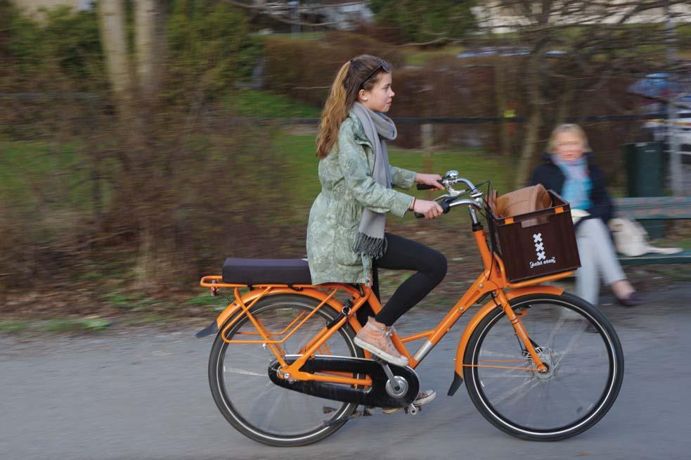 Innledning Oslostandarden for sykkeltilrettelegging er et av hovedtiltakene i kommunens sykkelstrategi. Den omsetter byens målsettinger for i byene bør være mellom 10 og 20 prosent.