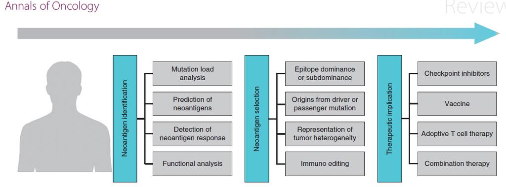 Neoantigen targeted approach for personalized